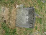 image of grave number 737550